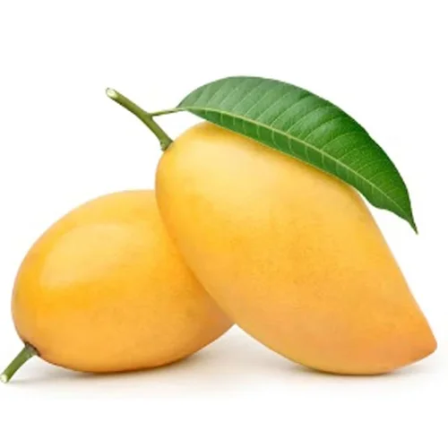 Mango-image